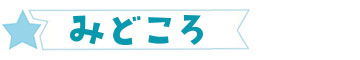 みどころ